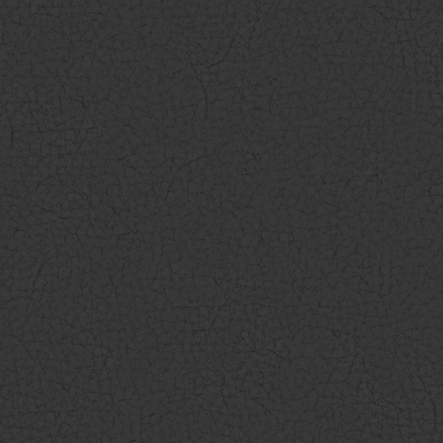 Ledersessel - schwarz - Echtleder 3 Ledersessel - schwarz - Echtleder – Bild 3