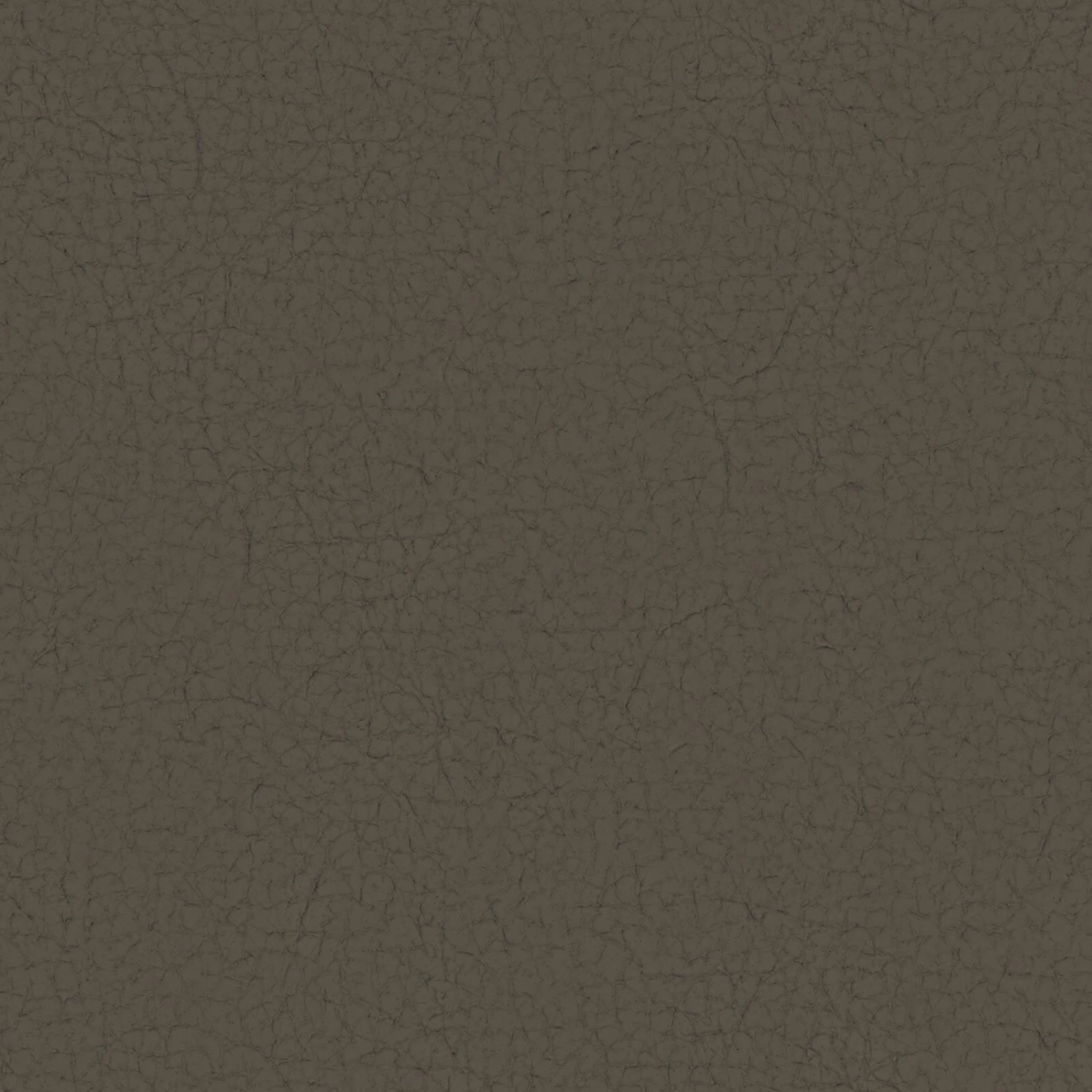 Ledersessel - cocoa - Echtleder 3 Ledersessel - cocoa - Echtleder – Bild 3