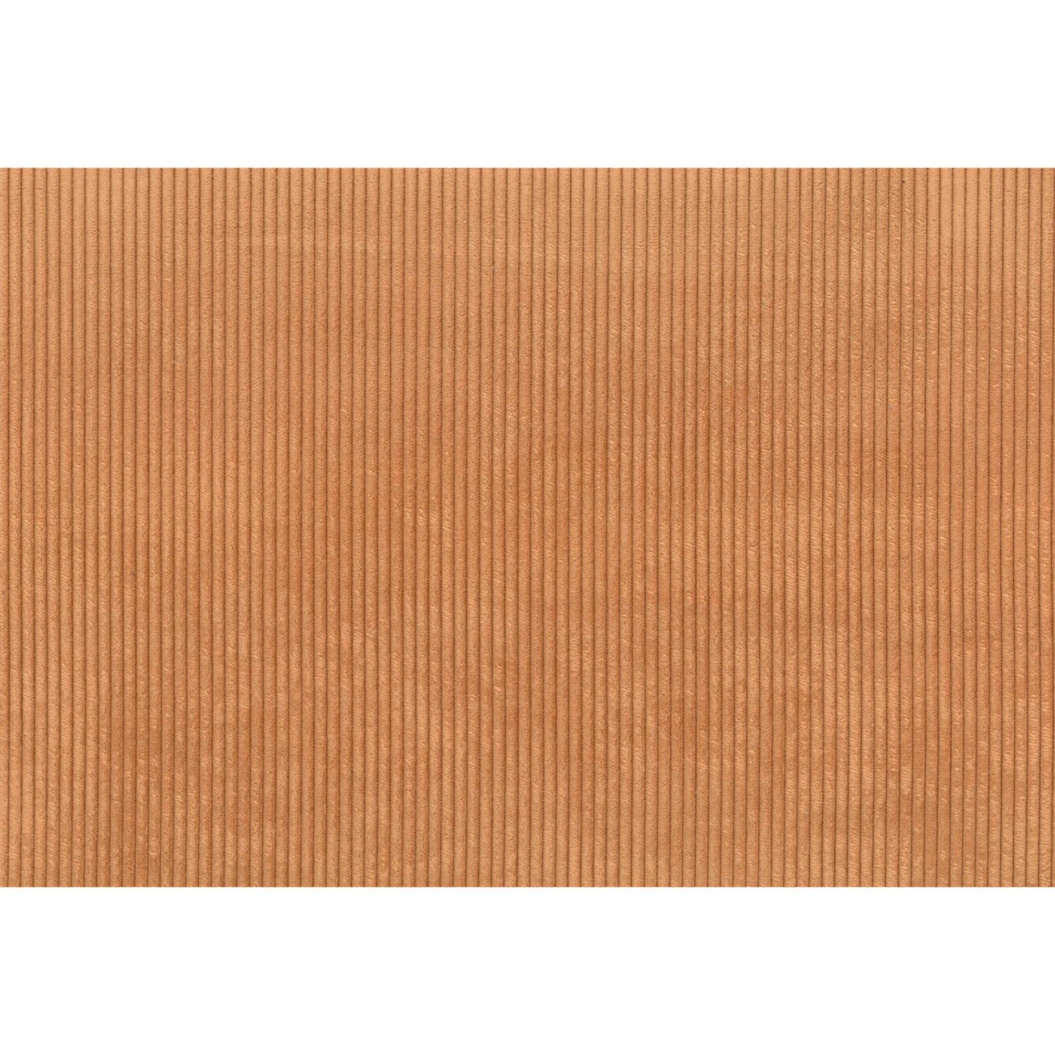 Sessel - LOOKS by Wolfgang Joop - pfirsich - Holzfüße 4 Sessel - LOOKS by Wolfgang Joop - pfirsich - Holzfüße – Bild 4