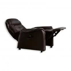 TV-Ledersessel - dunkelbraun - Funktionen mit Motor -Wohnzimmer Verkäufe 1260001300 03 1600Wx1600H