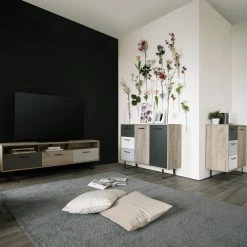 Kommode ORLANDO - Grey Craft Oak-Farbmix - 2 Türen - 120 cm -Wohnzimmer Verkäufe 1332004400 06 1600Wx1600H