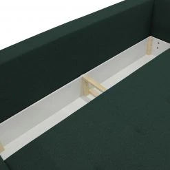 Schlafsofa - grün - Geflecht - mit Staukasten -Wohnzimmer Verkäufe 1341000102 04 1600Wx1600H