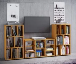 Schallplattenregal SCHALTINO - Buche - 60x115 cm -Wohnzimmer Verkäufe 9004243600 04 1600Wx1600H