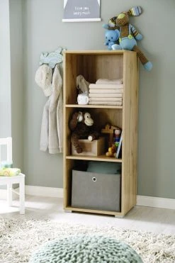 Regalelement - Wotan Eiche - 47 cm breit -Wohnzimmer Verkäufe 9005128600 03 1600Wx1600H