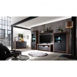 4-teiliges Wohnwand-Set - Schlammeiche-Schwarzeiche - Vitrine -Wohnzimmer Verkäufe S000011300 07 1600Wx1600H